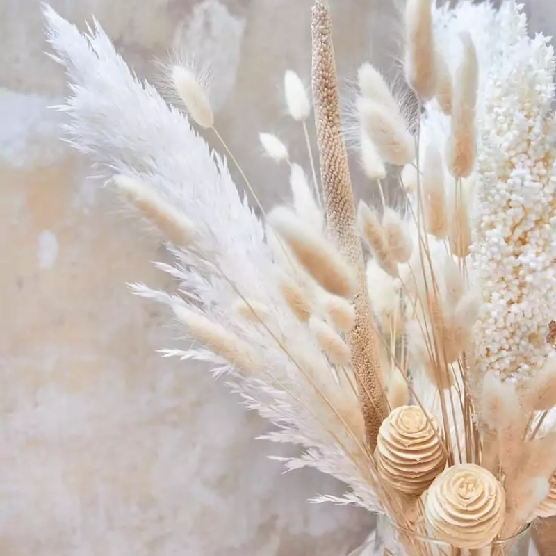 photo dans service conciergerie (2)